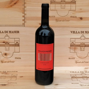 Carmenere Rosso 2016 Asolo Montello DOC