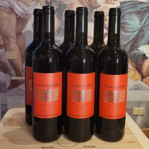 Cartone da 6 bottiglie Carmenere Rosso 2016 Asolo Montello DOC