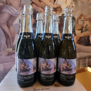 Cartone da 6 bottiglie Asolo Prosecco DOCG Superiore Brut-Medaglio d’oro