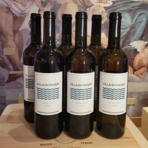 Cartone da 6 bottiglie Verduzzo 2024 Colli Trevigiani IGT