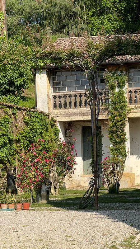 dettaglio giardino delle rose 1