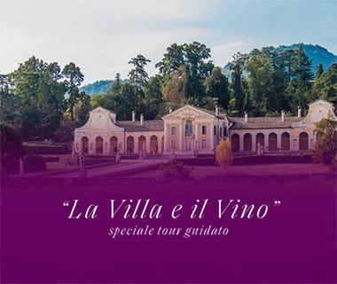 La Villa e il Vino