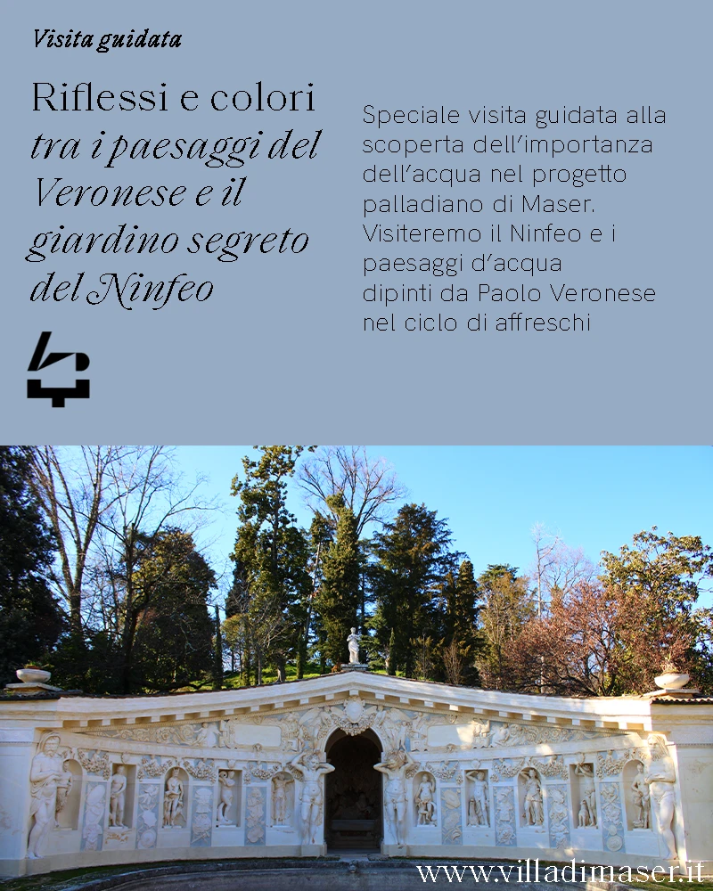 Visita guidata Riflessi e Colori