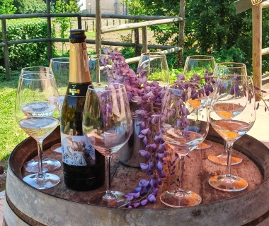 Calici tra storie e colori