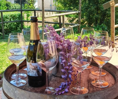 Degustazioni: Calici tra storie e colori