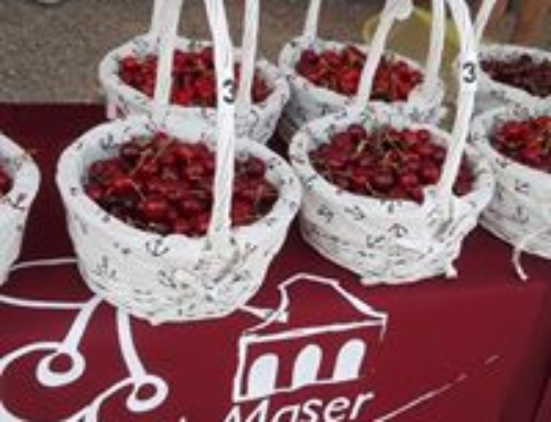 MASER CHERRY FESTIVAL – end of May